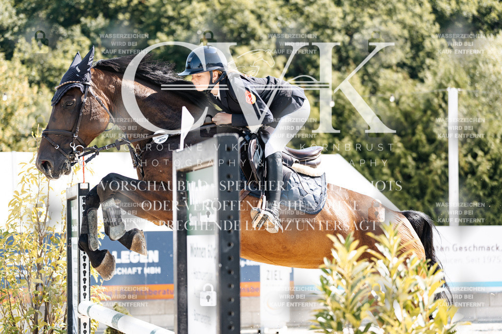 CK908515 | Turnierfotografie Pferdefotografie Trier Rheinland-Pfalz Pferdesport Reitsport Tierfotografie Sportfotografie Pferdevideo Pferdevideografie Equestrianvideography equestrianphotography  - Realisiert mit Pictrs.com