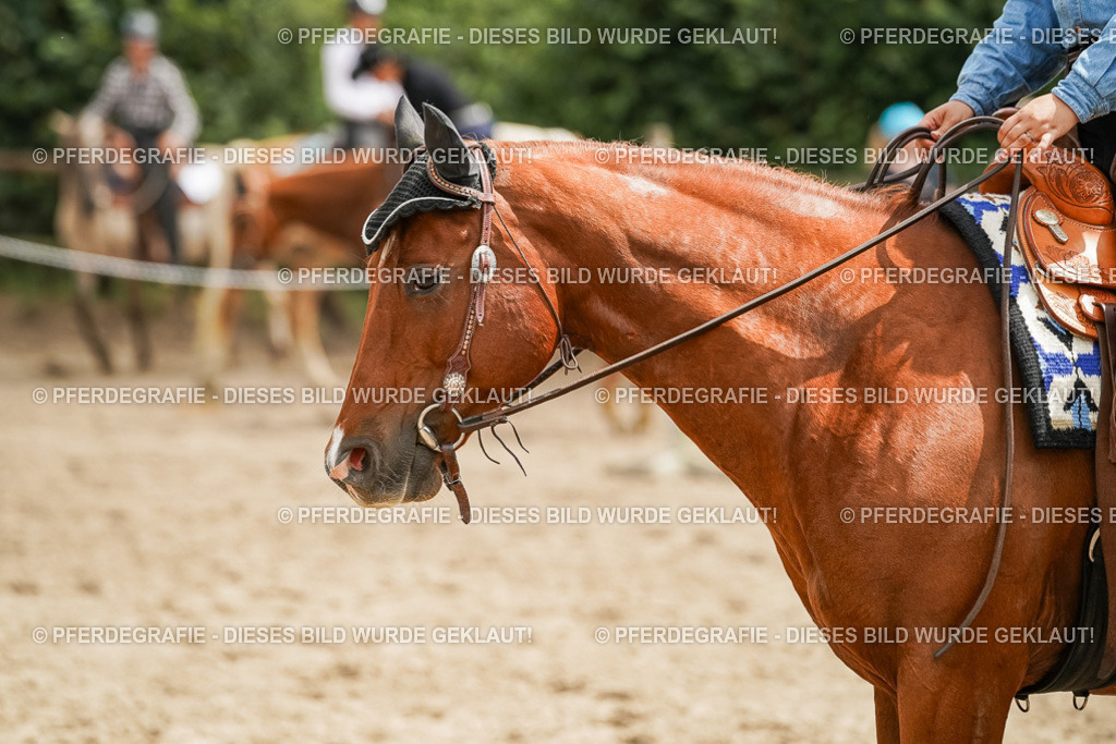 DSC00042 | Pferdegrafie