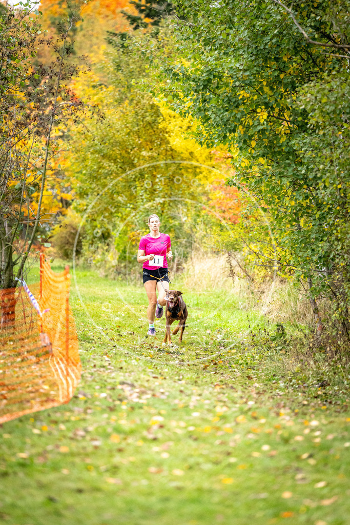 Pfotenfotografie_DV3A1766 | Hundefotografie, Tierfotograf, Pfotenfotografie, Fotoshooting Hund, Hunde Portrait, Hundesport, Hundeportraits, Heideshooting, Hunde, Sportfotograf, Hundefotograf, Turnierhundsport, THS,  - Realisiert mit Pictrs.com