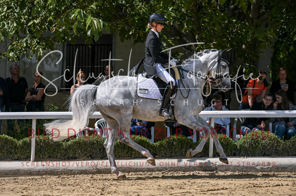 Schugtsche-Aluta25-58. Dressurprf.S1Kand.St.GeorgSpecial-114 | Schugtsche Fotografie - Realisiert mit Pictrs.com