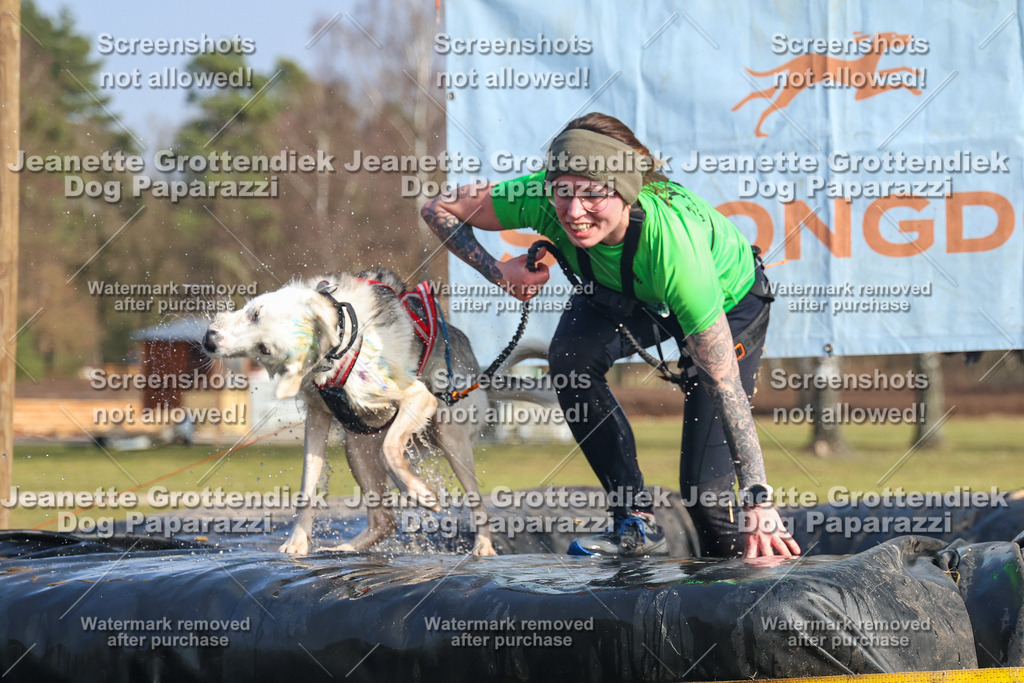 Dog Paparazzi - Strongdog North Mrz26-2738 | Dog Paparazzi Jeanette Grottendiek Fotografie & Videografie - Realisiert mit Pictrs.com