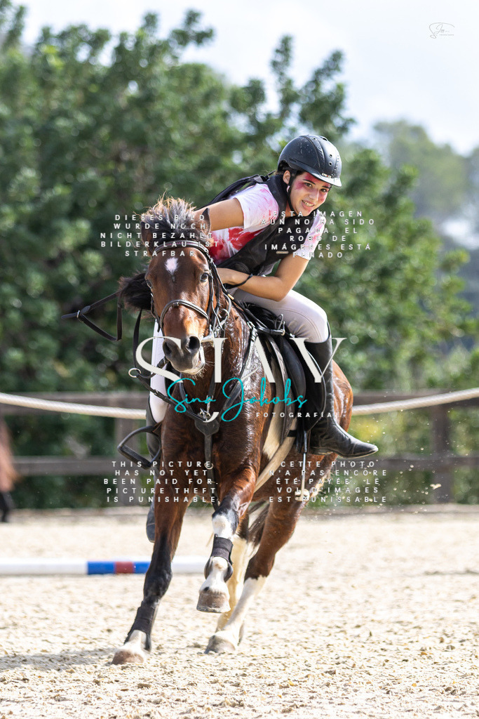 IMG_2568 | s-jay-photography - Realisiert mit Pictrs.com