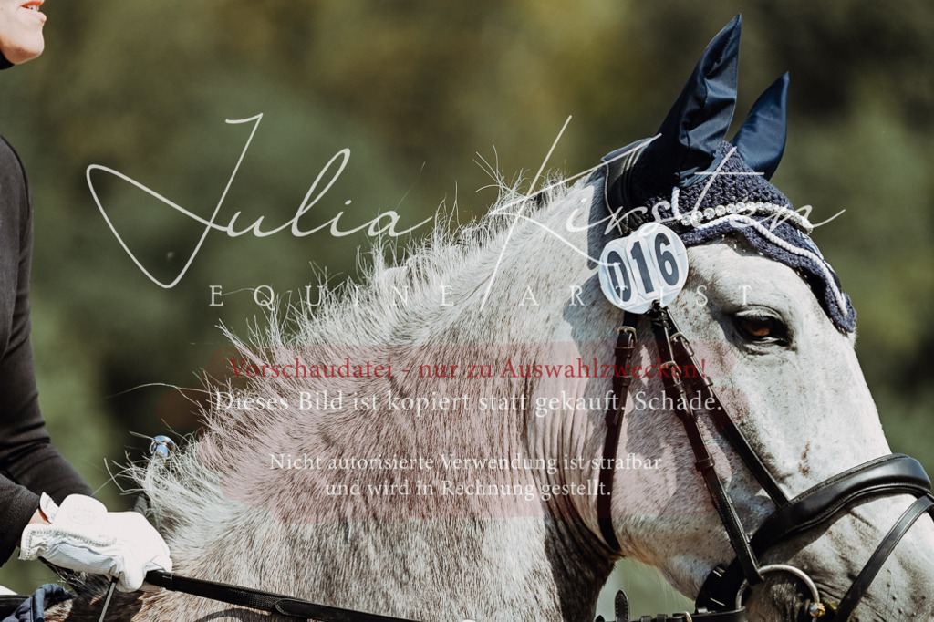 DSC_9476 | Pferde- und Turnierfotografie in Westsachsen. Pferdeportraits, Auftragszeichnungen und intuitive Kunst.