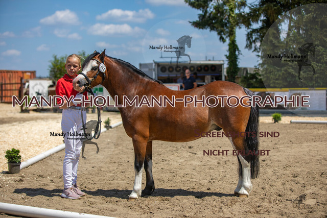 IMG_2769 | mandyhollmannphotographie
