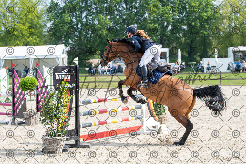 KPT_2622 | andre_photographic