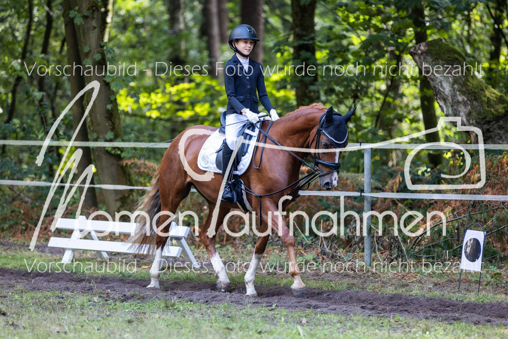 HB-Reiter-WB-101 | MomenTaufnahmen Pferdesportfotos