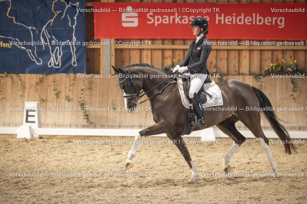 _D5A6520 | Emotionale Pferde- & People-Fotografie rund um Heidelberg, Leimen & Umgebung. Natürliche Fotos von Pferd, Mensch & Familie. Jetzt Termin sichern!