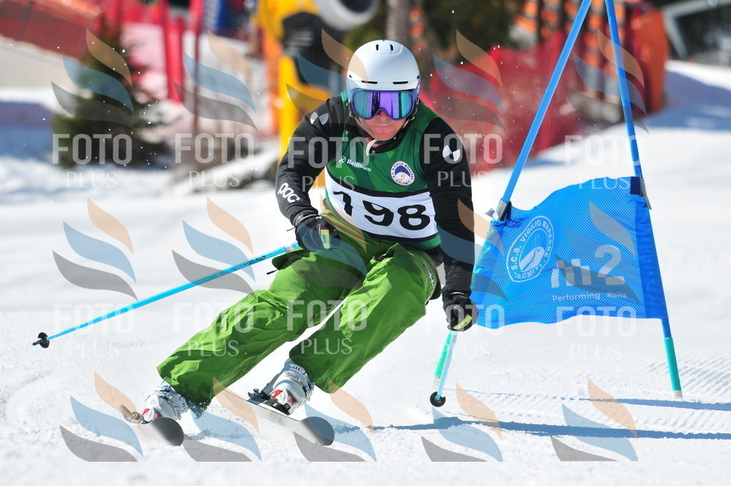 C4452 | holidayphoto