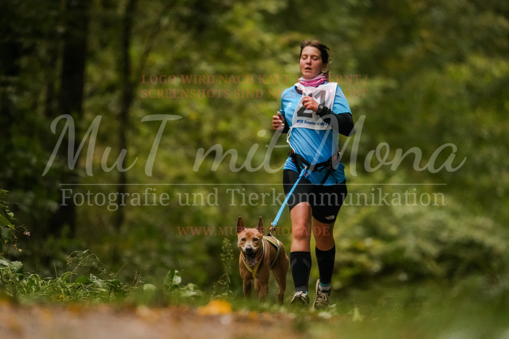 20251005_THS_Turnier-170 | MuT (Mensch und Tier) mit Mona - Fotografie und Tierkommunikation - Realisiert mit Pictrs.com