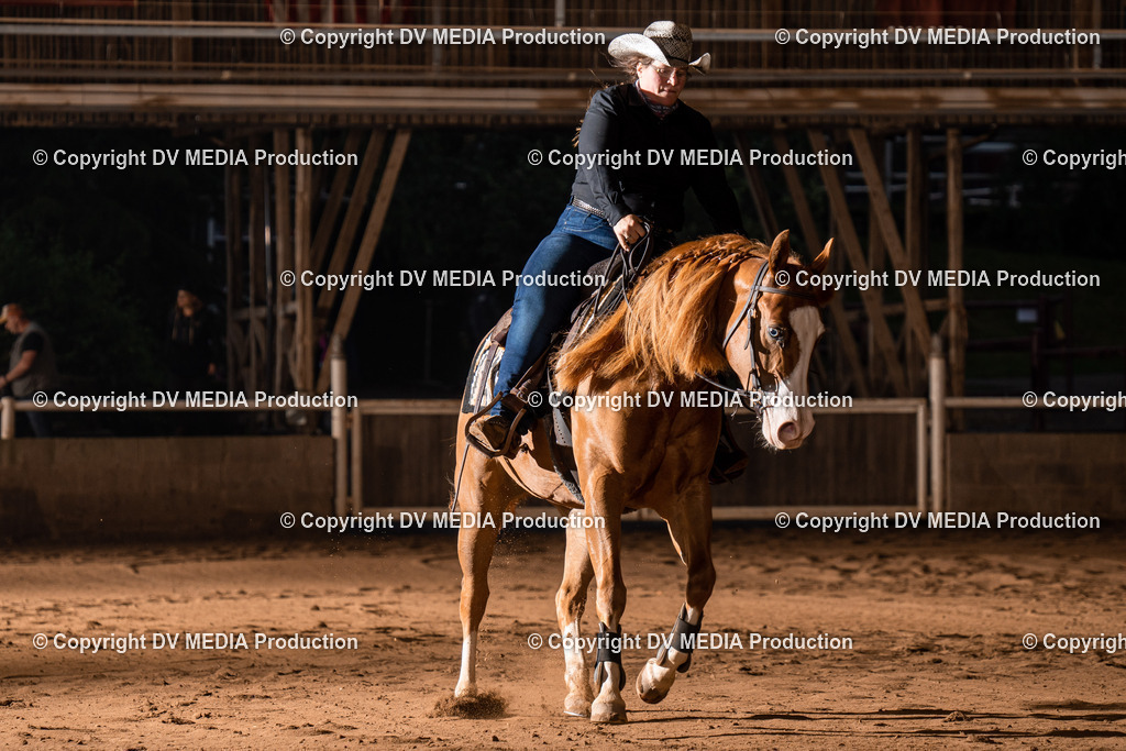 Erbach Tag 3-877 | dv-media-shop - Realisiert mit Pictrs.com