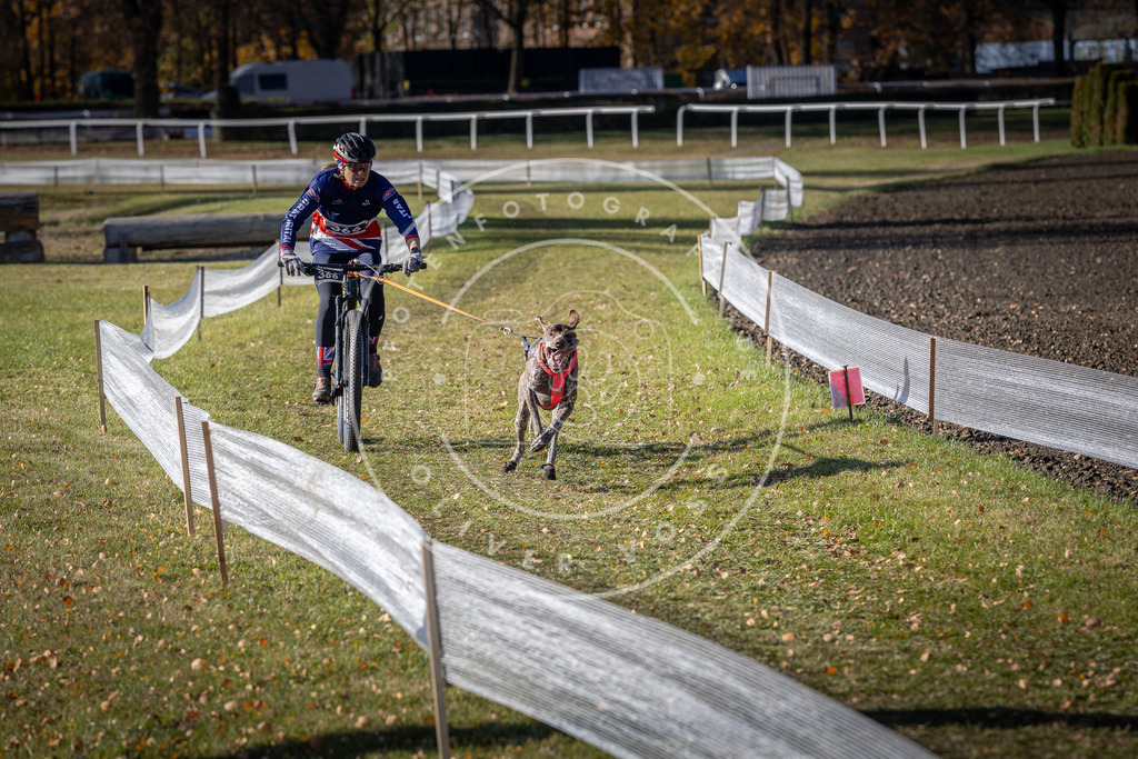 CaniXpix_DV3A7537 | Hundefotografie, Tierfotograf, Pfotenfotografie, Fotoshooting Hund, Hunde Portrait, Hundesport, Hundeportraits, Heideshooting, Hunde, Sportfotograf, Hundefotograf, Turnierhundsport, THS,  - Realisiert mit Pictrs.com