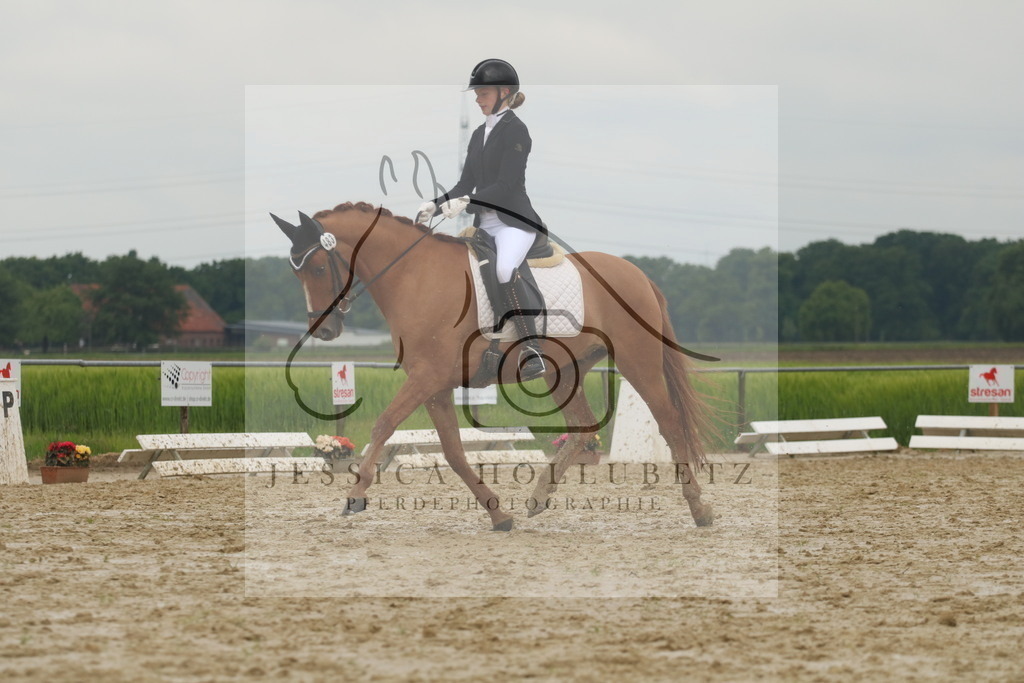 IMG_7411 | jessicahollubetz_pferdephotographie - Realisiert mit Pictrs.com