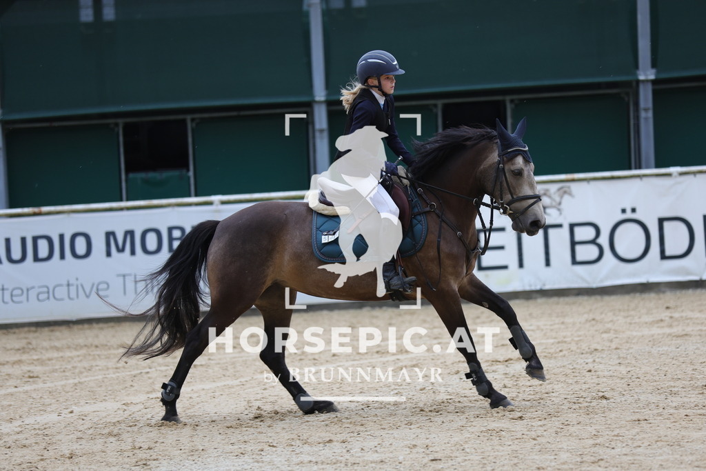 0P6A7102 | Willkommen bei Brunnmayr - Design & Fotografie – Ihrem Spezialisten für Reitturniere und Pferdeveranstaltungen in Oberösterreich, Salzburg und Bayern! Seit über 17 Jahren sind wir leidenschaftlich dabei.
