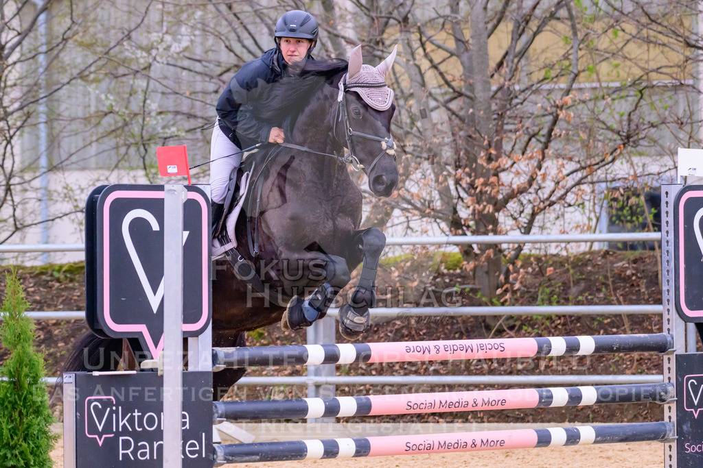 10042026-Mammendorf-Prfg19-0428 | Fokus Hufschlag Fotografie - Realisiert mit Pictrs.com