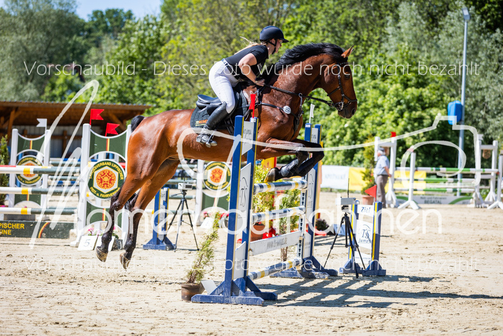 Donop24-M-Spr-045 | MomenTaufnahmen Pferdesportfotos