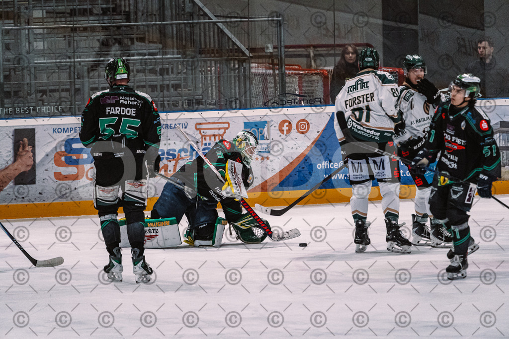 Alligators_vs_Erding_01_02_2026-13 | Höchstadt Alligators Fotogalerie: Eishockey-Action aus Franken. Professionelle Spielfotos, Portraits & Stadionbilder zum Download. Jetzt entdecken! - Realisiert mit Pictrs.com