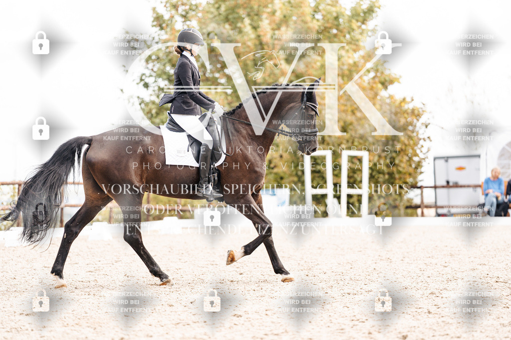 CK901797 | Turnierfotografie Pferdefotografie Trier Rheinland-Pfalz Pferdesport Reitsport Tierfotografie Sportfotografie Pferdevideo Pferdevideografie Equestrianvideography equestrianphotography  - Realisiert mit Pictrs.com