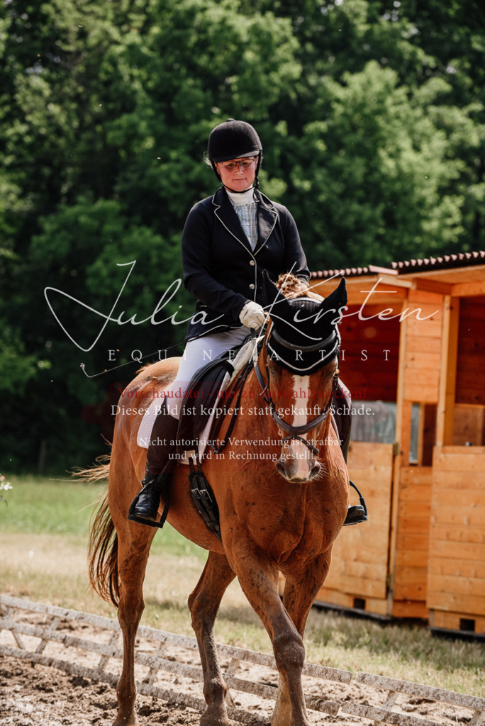 DSC_0664 | Pferde- und Turnierfotografie in Westsachsen. Pferdeportraits, Auftragszeichnungen und intuitive Kunst.