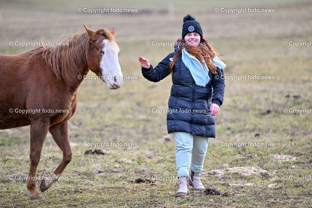 Pferde_ 29.12.2024-2 | 29.12.2024, Rajec, SVK, Themenbild, Pferde, im Bild Maedchen mit Pferd, Pferd, Pferde, Stute, Hengst, Fohlen, Quarter Horse, Ranch, Weide, Hof, Wiese, Stall, Nutztier, Tier