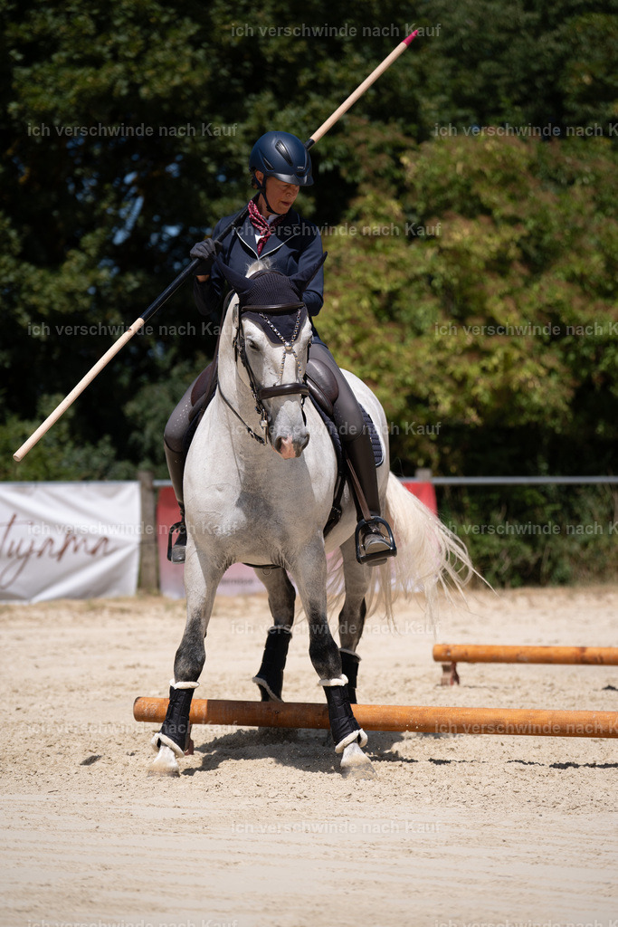 WS_ST_11_stoibphotography_SO11136 | working equitationturnier fotograf videograf stoibphotography marixx film working equitation deutschland reitsport turnierfotografie eventfotografie equestrian events