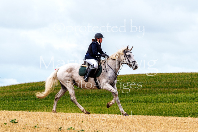 Jagd Knoop 26_MarinaHewigMCH02348 | Fotografie, FotoArt, PferdesportArt, Pferdesportfotografie, Landschaftsfotografie, Reisefotografie, Reise, Pferde - Realisiert mit Pictrs.com