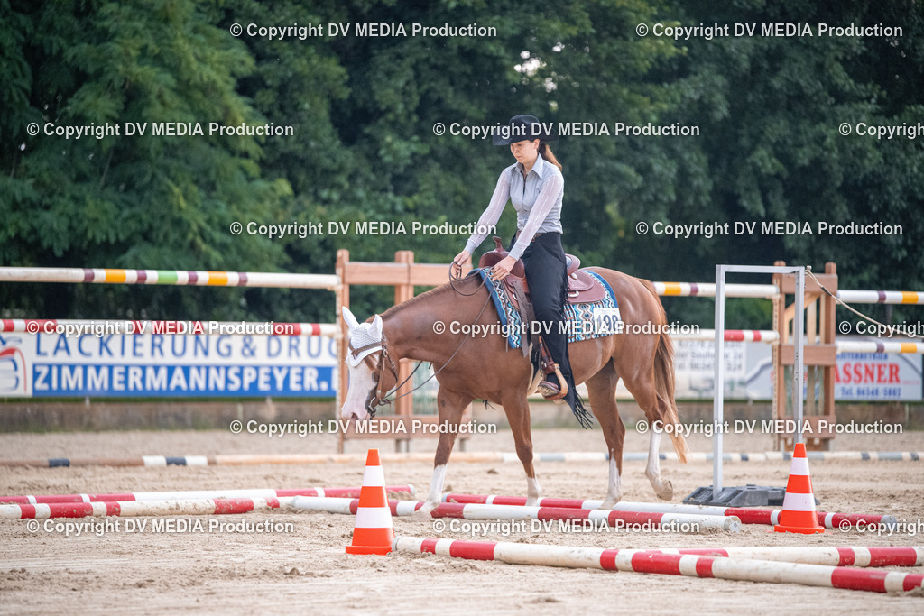 ZS2_3847 | dv-media-shop - Realisiert mit Pictrs.com