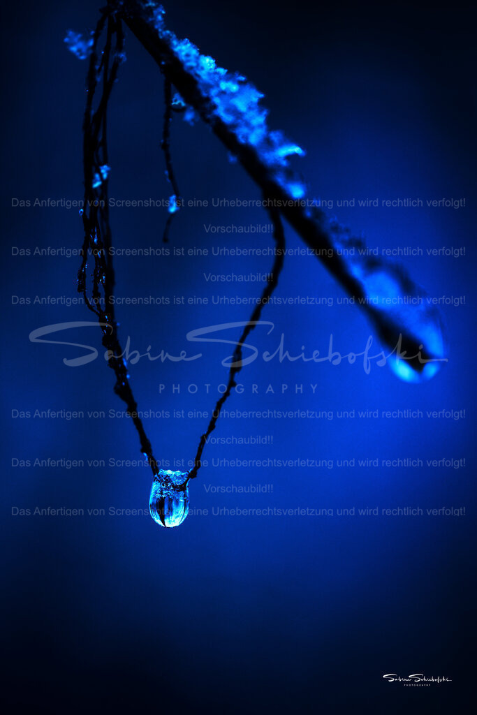 Tropfen in Eis | People- und Tierfotografie, Imageaufnahmen, Veranstaltungsfotografie und Wandbilder aus der Natur ★ Made in Germany ✔️ Druck + Downloads ✔️ Naturfotografie in Top Qualität ★ schneller Versand, weltweite Lieferung! - Realisiert mit Pictrs.com