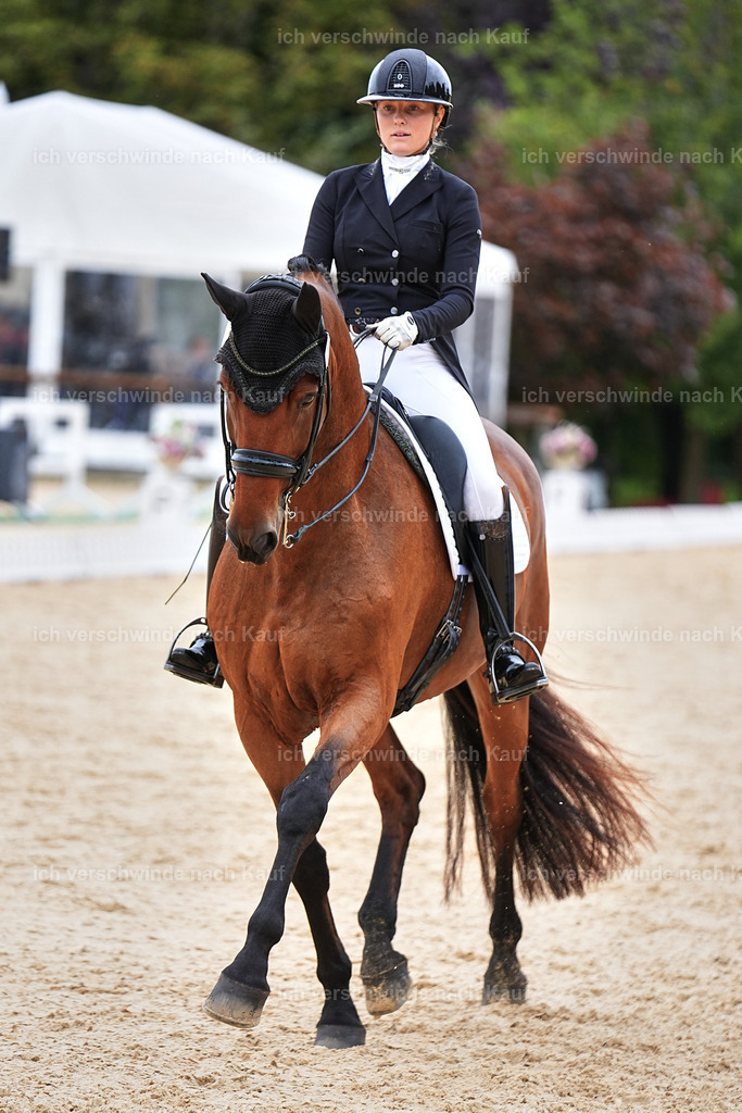 11-189-Dressur S___-Marixx-1779 | working equitationturnier fotograf videograf stoibphotography marixx film working equitation deutschland reitsport turnierfotografie eventfotografie equestrian events