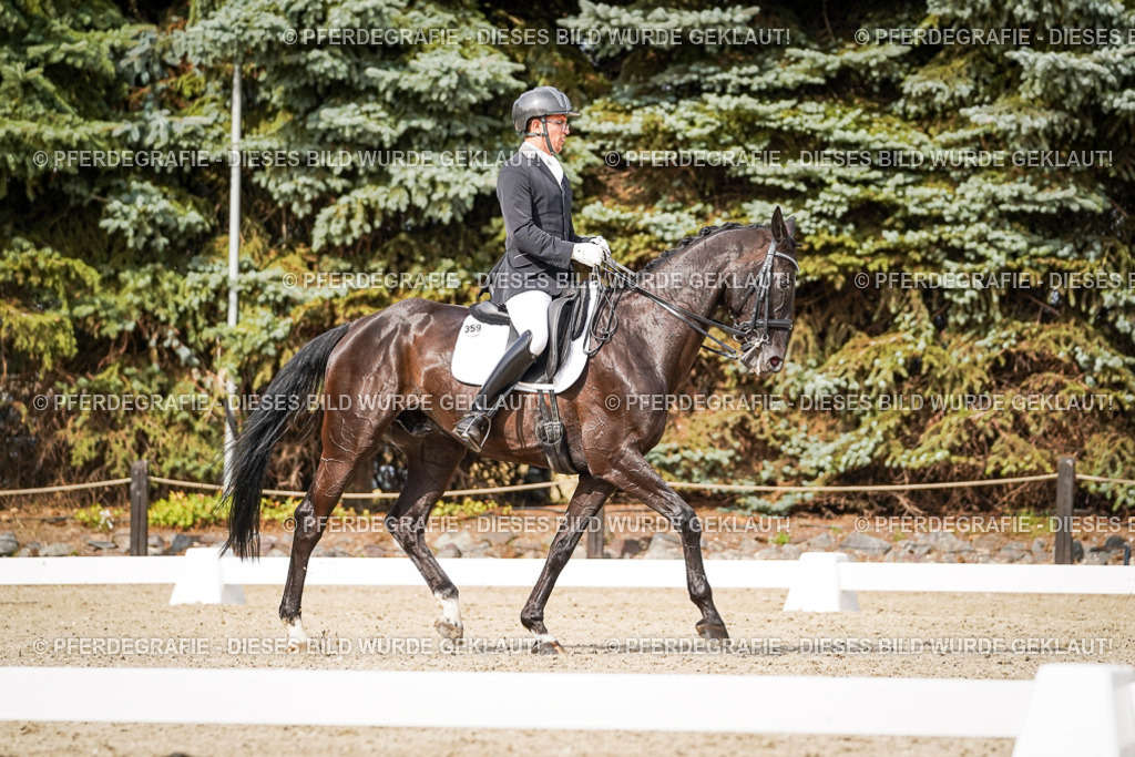 DSC06791 | Pferdegrafie