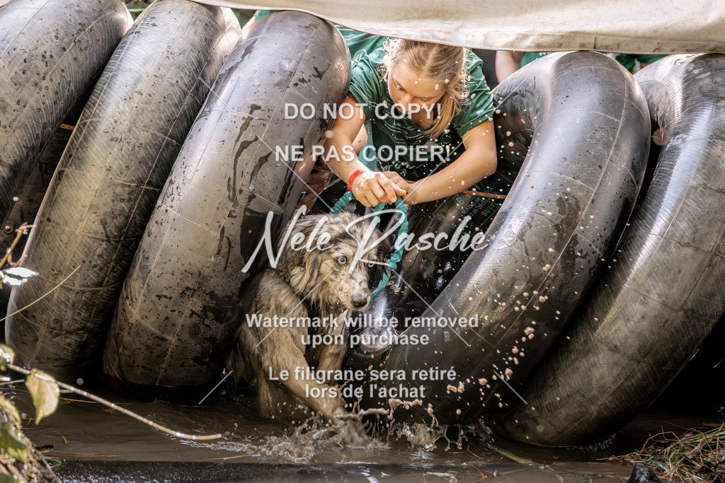 nelerasche_Hunsrück2026_Sa1400-1500_424 | nelerasche