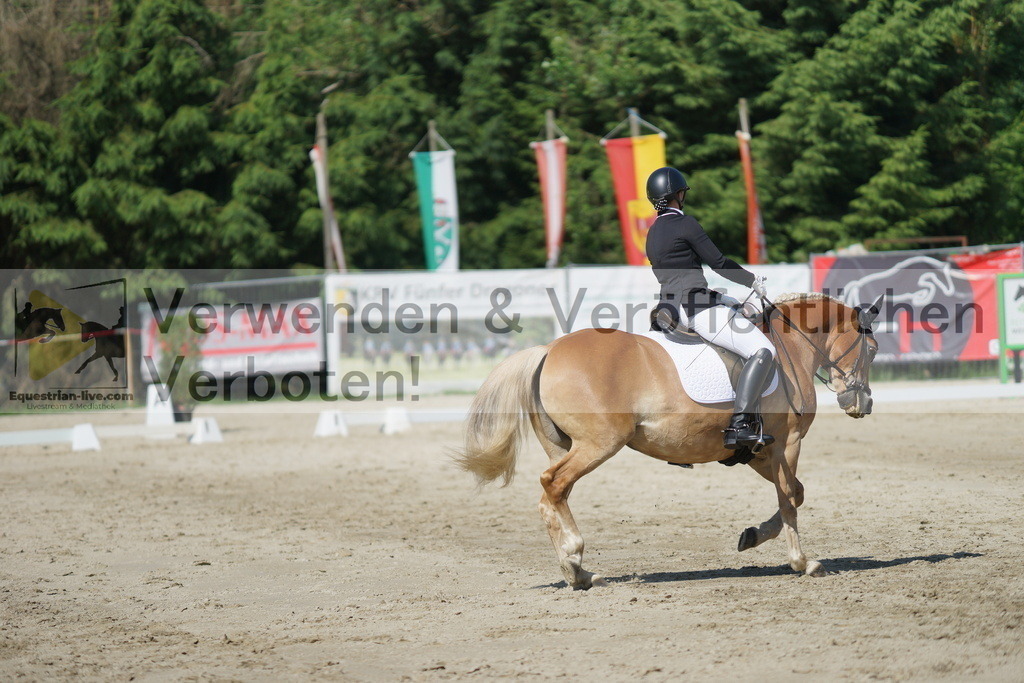 DSC03000 | equestrian-live-com
