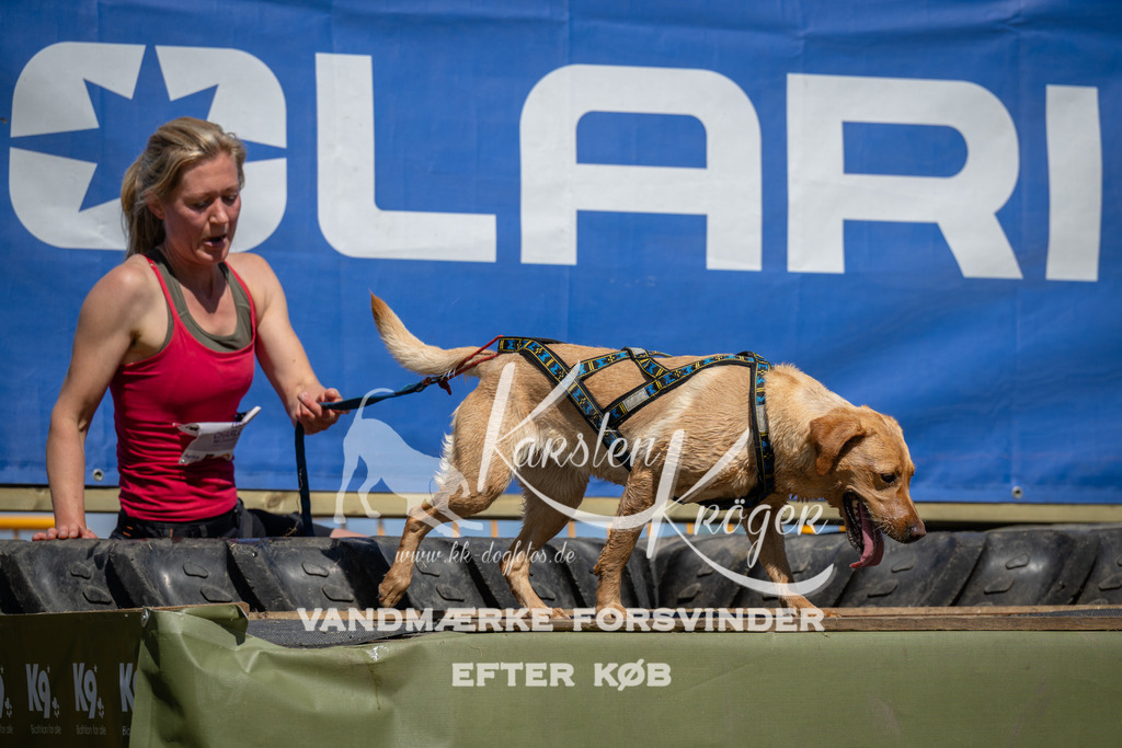 1342_ZZ99124 | kk-dogfotos