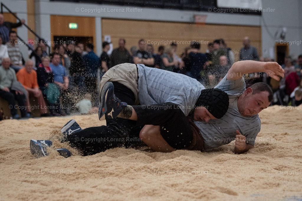 Schwingen -  Lichtmess 2024 | Gais, 3.2.24, Schwingen - Lichtmess.