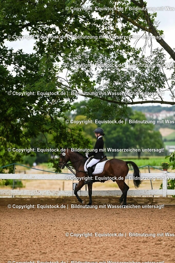 20230716_10-2_Reiter-WB Schritt - Trab - Galopp_0115 | equistock