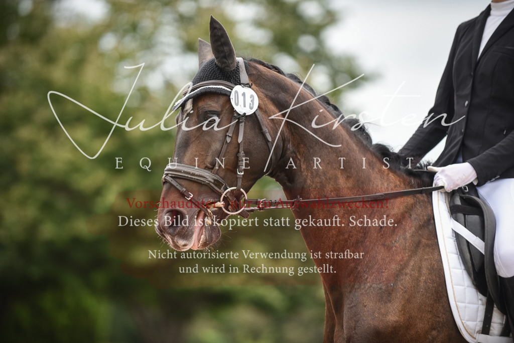 DSC_7903 | Pferde- und Turnierfotografie in Westsachsen. Pferdeportraits, Auftragszeichnungen und intuitive Kunst.