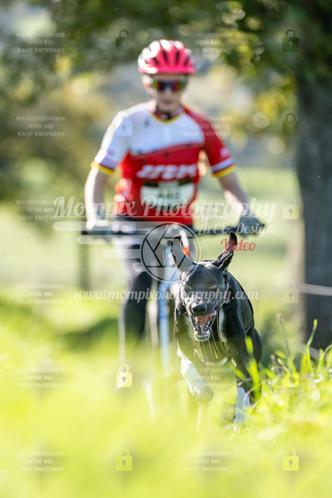 MompixPhotography_20TSB_E3_DS1-84 | PayLife