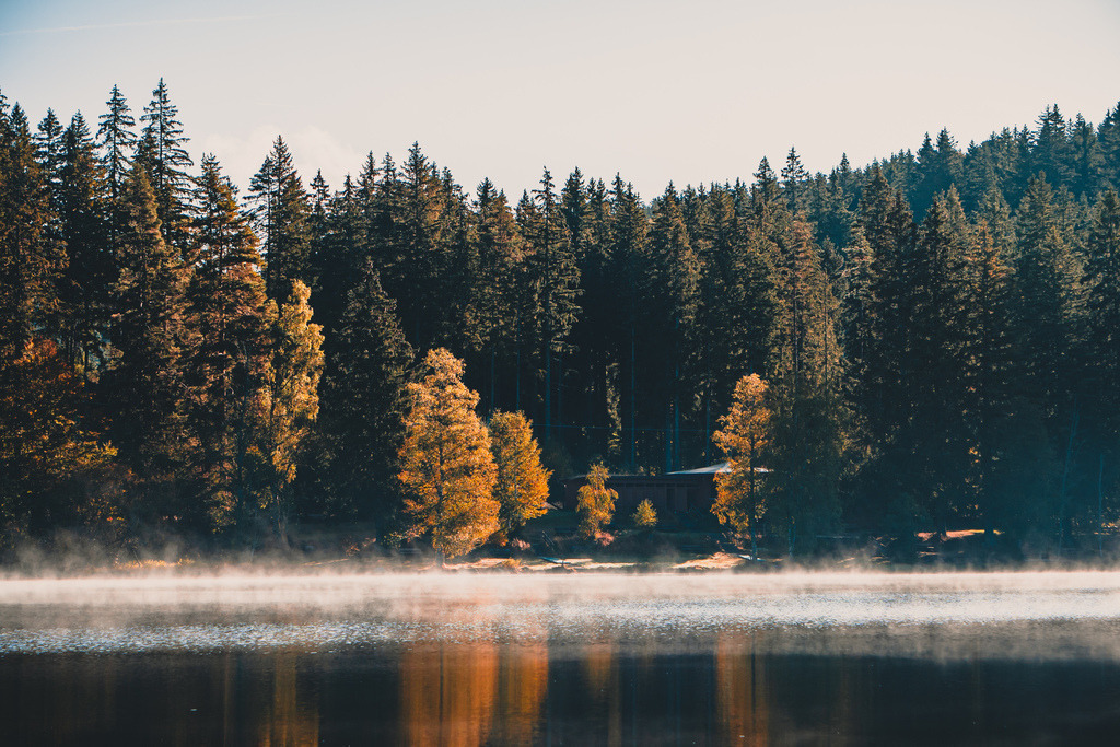 Windgfällweiher | Goldener Herbstmorgen am Windgfällweiher im Hochschwarzwald - Realisiert mit Pictrs.com