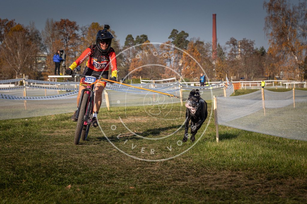 CaniXpix_0L8A7536 | Hundefotografie, Tierfotograf, Pfotenfotografie, Fotoshooting Hund, Hunde Portrait, Hundesport, Hundeportraits, Heideshooting, Hunde, Sportfotograf, Hundefotograf, Turnierhundsport, THS,  - Realisiert mit Pictrs.com
