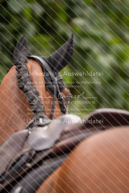 LR262_SD_01352 | saradresslerfotografie - Realisiert mit Pictrs.com