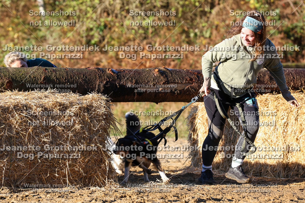 Dog Paparazzi - Strongdog 10-25-1108 | Dog Paparazzi Jeanette Grottendiek Fotografie & Videografie - Realisiert mit Pictrs.com