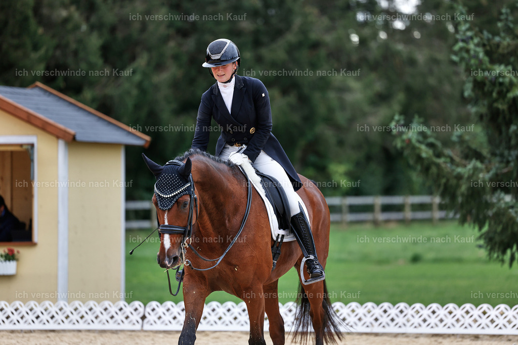 11-048-Dressur S___-StoibPH-1421 | working equitationturnier fotograf videograf stoibphotography marixx film working equitation deutschland reitsport turnierfotografie eventfotografie equestrian events