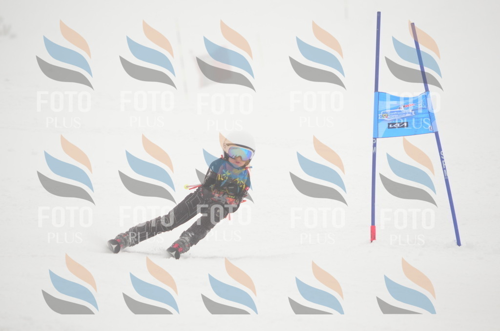 C1509 | holidayphoto