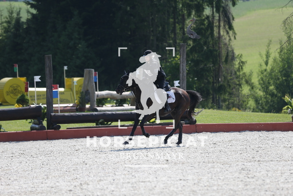 DL2Q1577 | Willkommen bei Brunnmayr - Design & Fotografie – Ihrem Spezialisten für Reitturniere und Pferdeveranstaltungen in Oberösterreich, Salzburg und Bayern! Seit über 17 Jahren sind wir leidenschaftlich dabei.