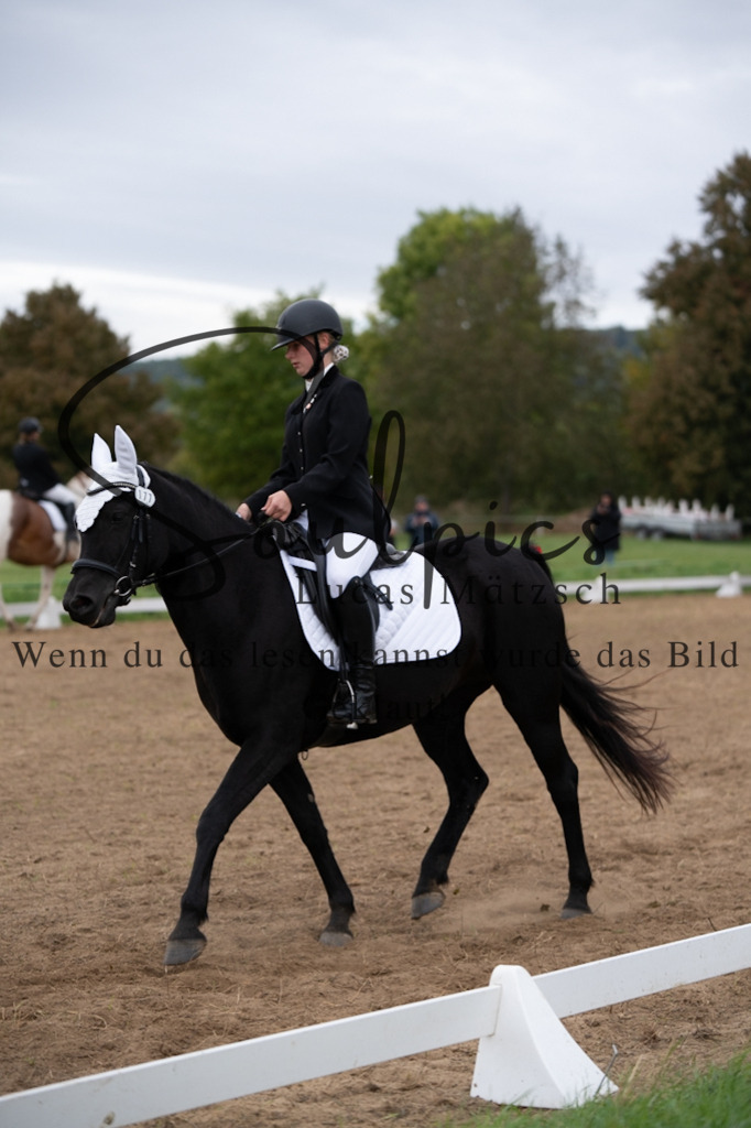 A7V05019 | Pferdefotograf