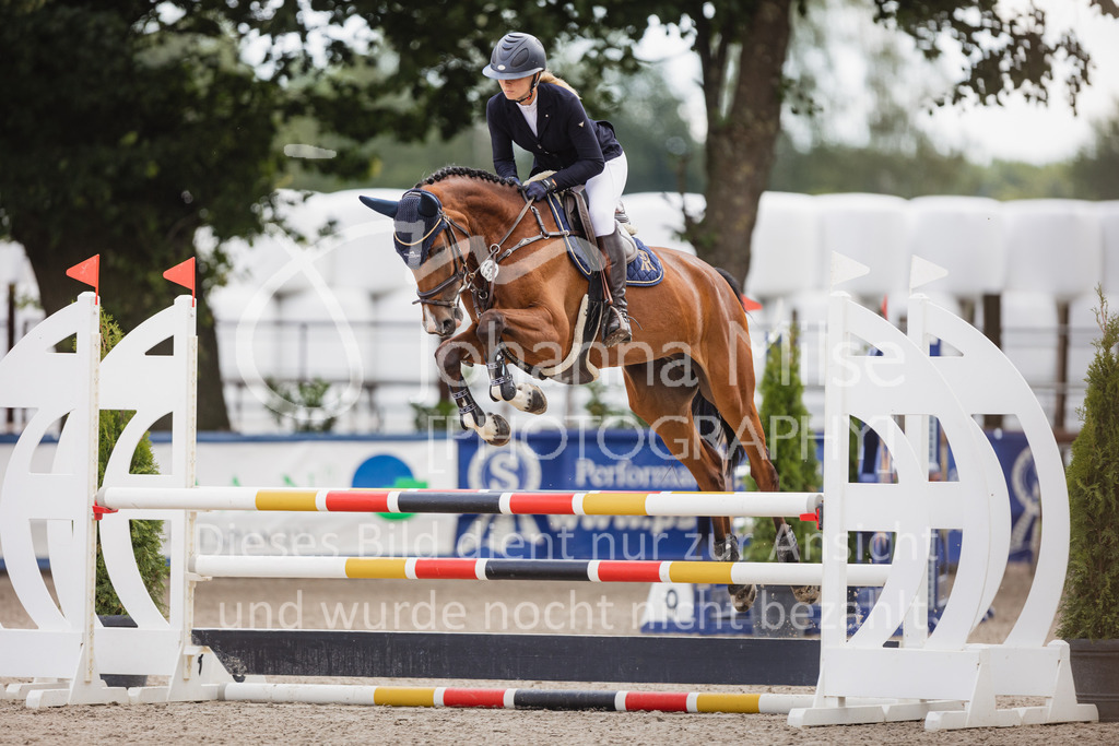 220705_Mühlen_SprPf-A3-305 | Late Entry Mühlen
05.07.2022
03 Springpferde-A**, 4-6jährige Pferde