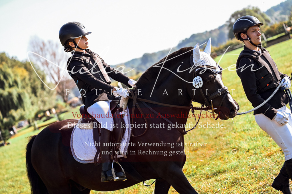 DSC_0362 | Pferde- und Turnierfotografie in Westsachsen. Pferdeportraits, Auftragszeichnungen und intuitive Kunst.