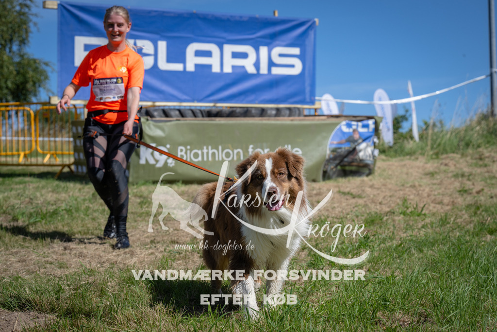 1159_ZZ93236 | kk-dogfotos
