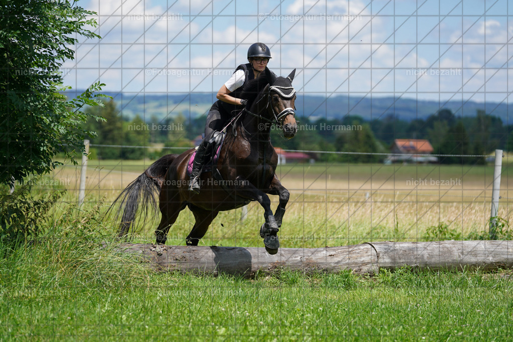 20240622-FAH07255 | Turnierfotografen Bayern, Reitsportbilder aus dem Geländekurs mit Felix Etzel auf dem Gut Waitzacker 2024