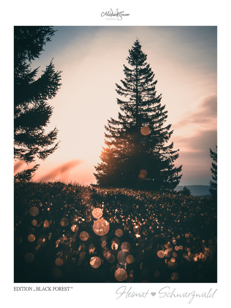 Edition "BLACK FOREST" | Motiv: Sonnenaufgang am Kandel bei Waldkirch. Die beliebtesten Fotografien aus dem Schwarzwald als signierte Sonderedition. Eine exklusive Wanddekoration für alle Liebhaber von traumhaften Schwarzwaldlandschaften. Hochwertige Wandbilder in brillanter Druckqualität auf Acrylglas, Alu-Dibond und Leinwand für Ihr Zuhause – inklusive rückseitige Aufhängung.
 - Realisiert mit Pictrs.com
