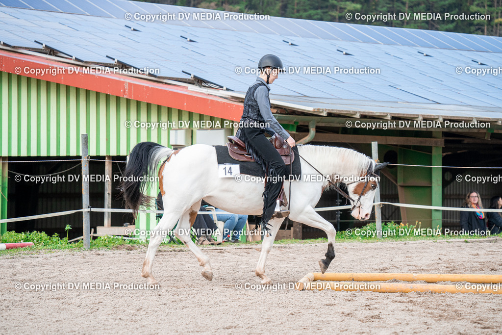 BAL02946 | dv-media-shop - Realisiert mit Pictrs.com